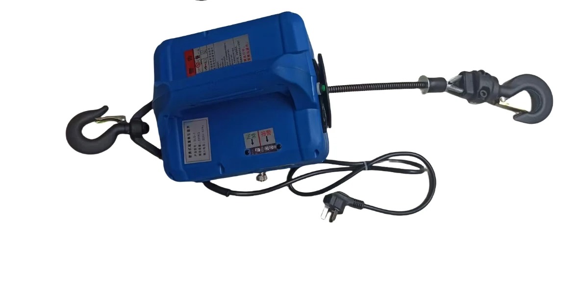 500 kg tragbarer elektrischer  – Home Improvement Cars Bewertung und Preis